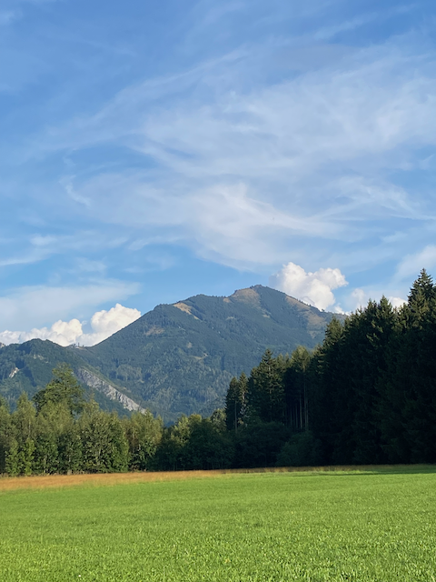 INBTI-Mantrailing-Seminar vom 10.02.2024 - 11.02.2024 in Wels/ Oberösterreich
