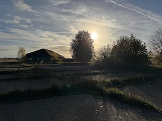 Traditionelles INBTI-Mantrailing- Osterseminar vom 03.04.2026 - 06.04.2026 im Kreis Warendorf/ Soest/ Gütersloh/ Paderborn