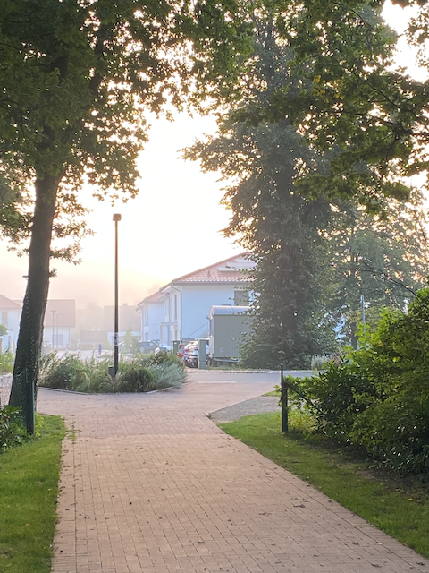 INBTI-Mantrailing-Seminar vom 07.06.2025 - 09.06.2025 im Raum Ibbenbüren, NRW